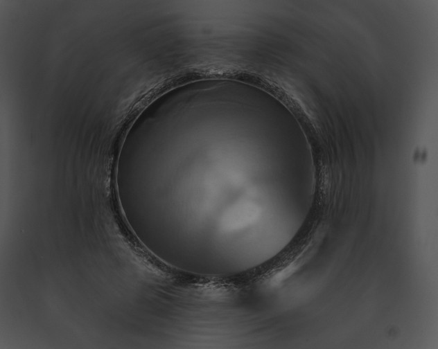 X0000091640545200708301401