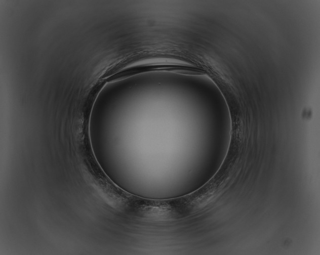 X0000091640548200708301401