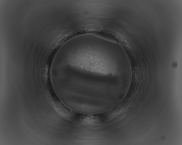 X0000091640550200708301401