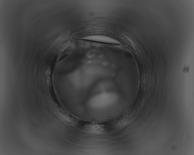 X0000091640553200708301401