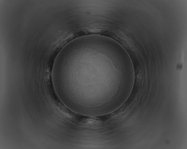 X0000091640555200708301401