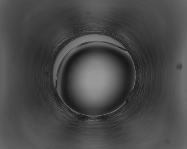X0000091640556200708301401