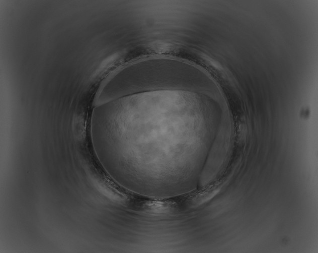 X0000091640558200708301401