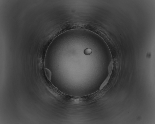 X0000091640564200708301401