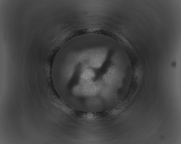 X0000091640565200708301401