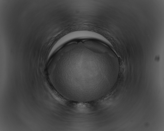 X0000091640566200708301401