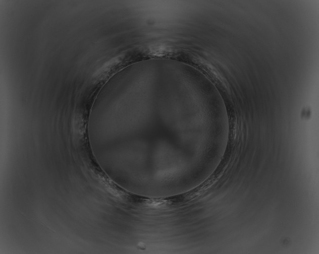 X0000091640569200708301401