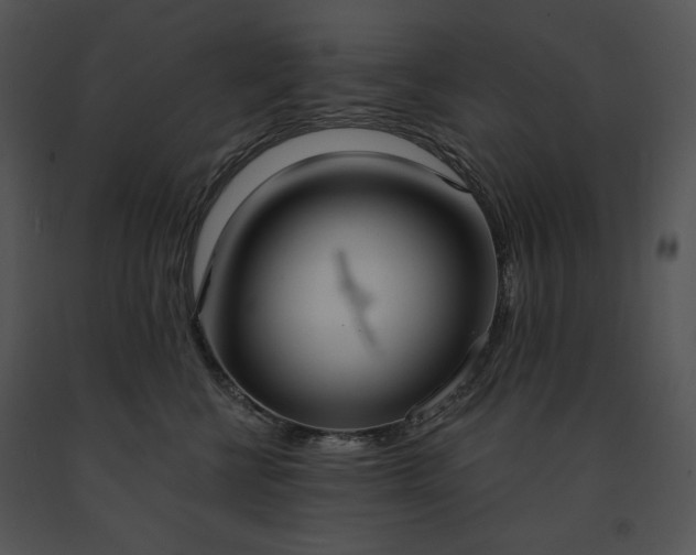 X0000091640570200708301401