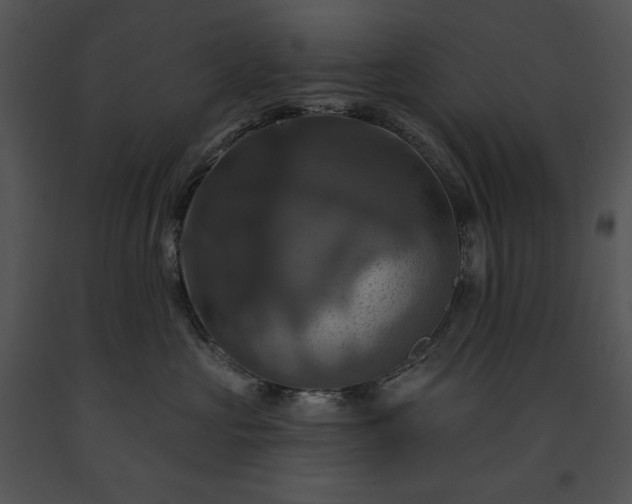 X0000091640573200708301401