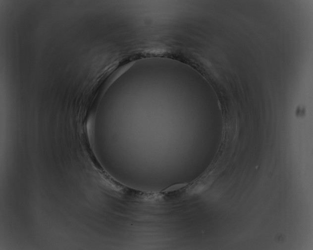 X0000091640576200708301401