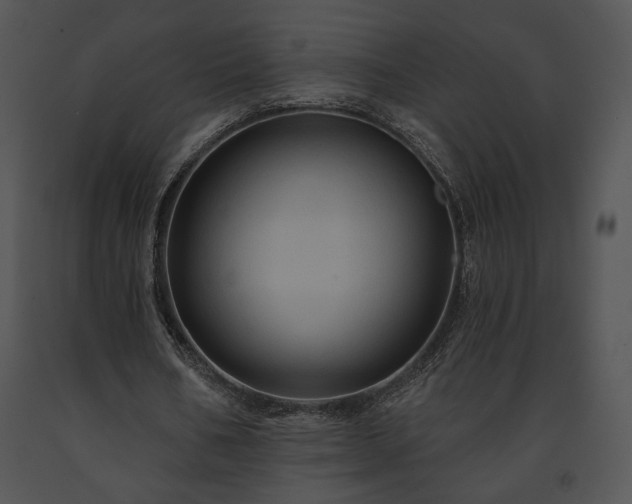 X0000091640578200708301400
