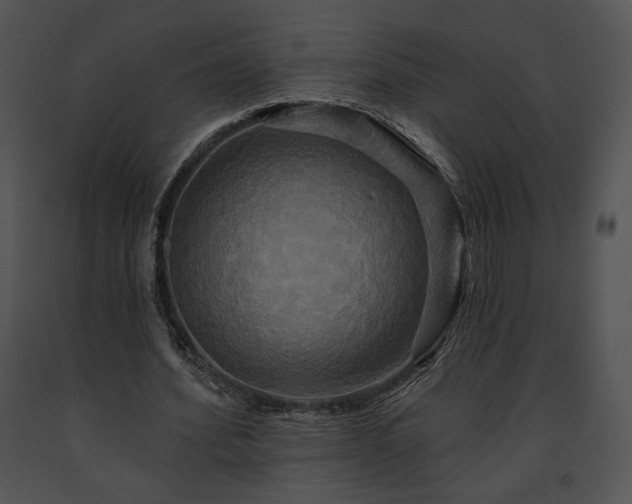 X0000091640580200708301400