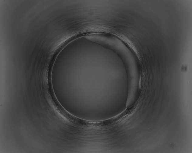 X0000091640581200708301400