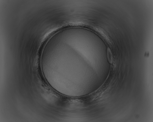 X0000091640583200708301400