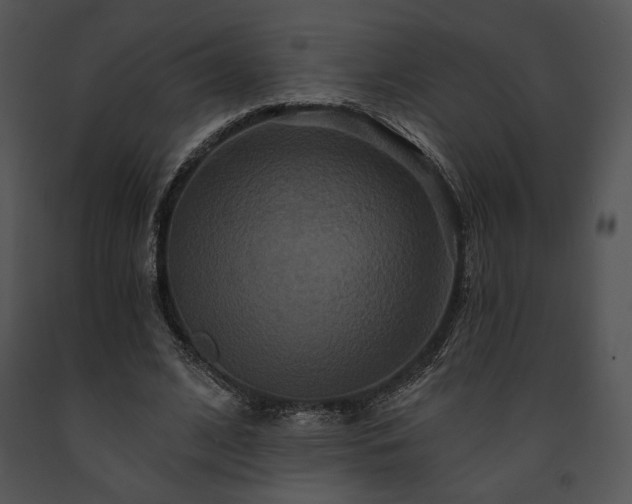 X0000091640584200708301400