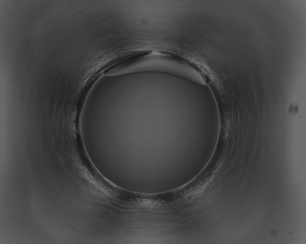 X0000091640585200708301400