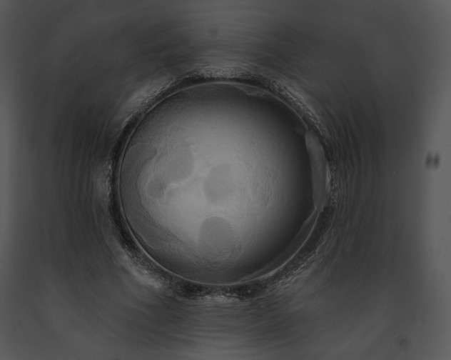 X0000091640586200708301400