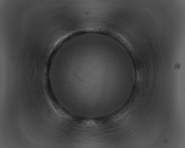 X0000091640588200708301400