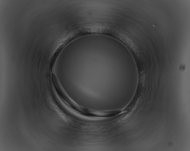 X0000091640589200708301400