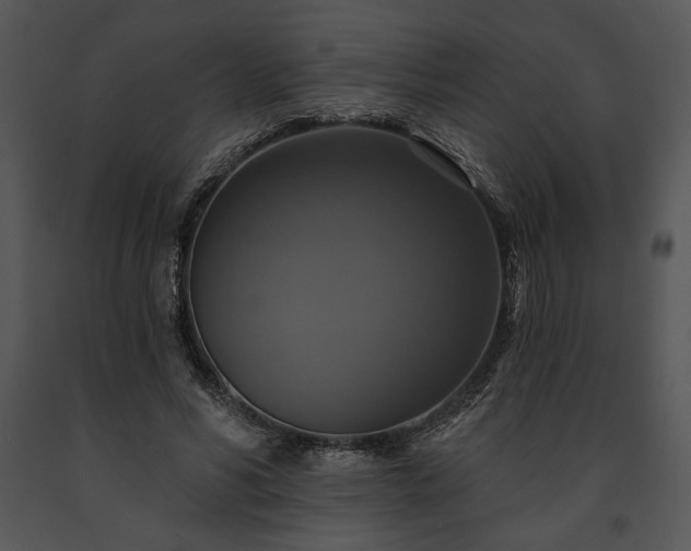 X0000091640590200708301400