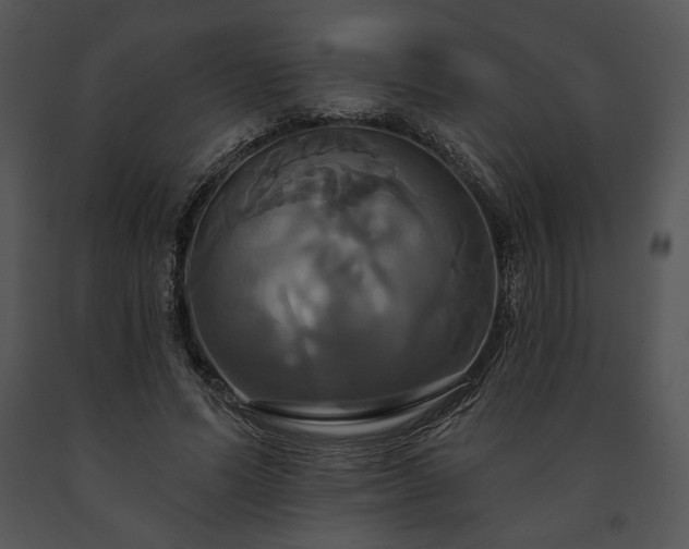 X0000091640591200708301400