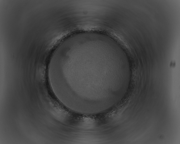 X0000091640592200708301400