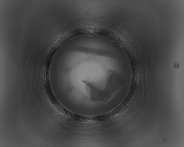 X0000091640594200708301400