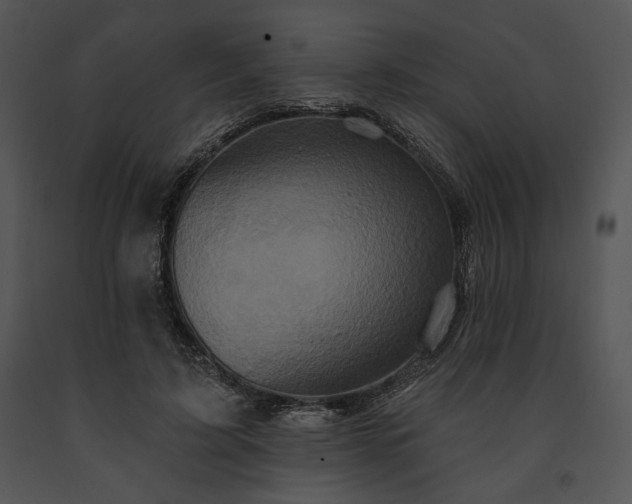 X0000091640595200708301400