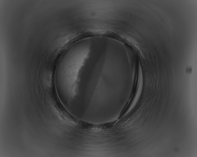X0000091640596200708301400