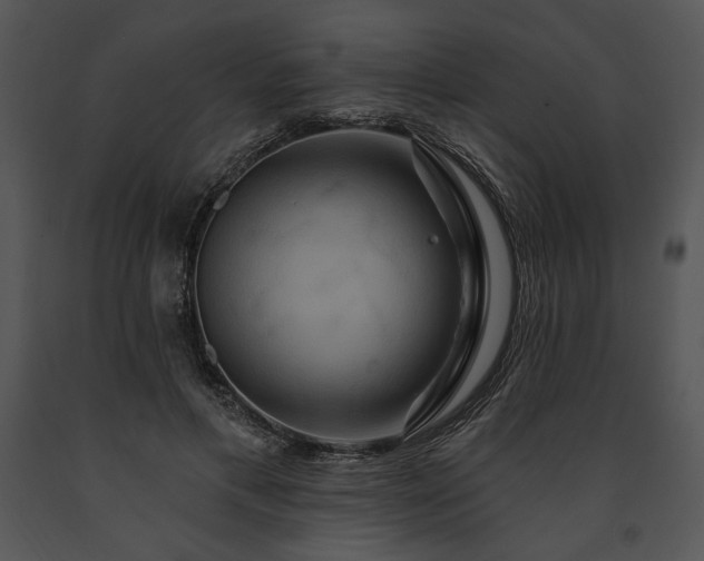 X0000091640597200708301400