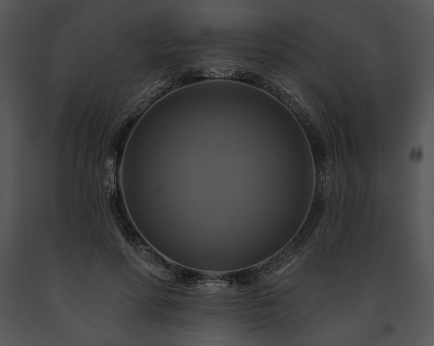 X0000091640598200708301400