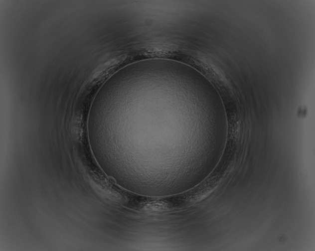 X0000091640599200708301400