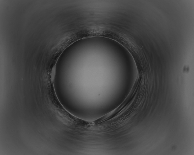 X0000091640601200708301400