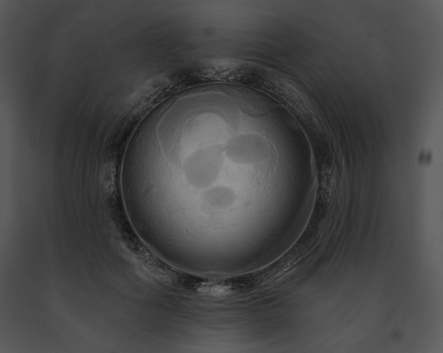 X0000091640602200708301400