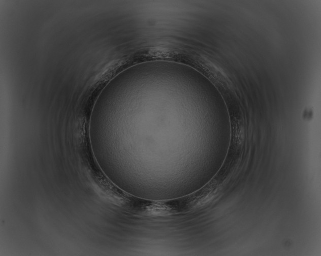 X0000091640603200708301400