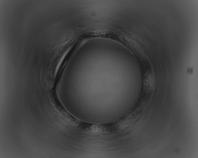 X0000091640608200708301400