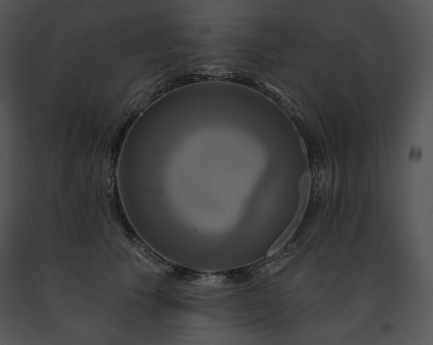X0000091640609200708301400