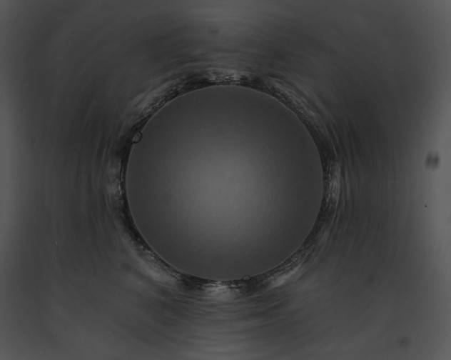 X0000091640616200708301400