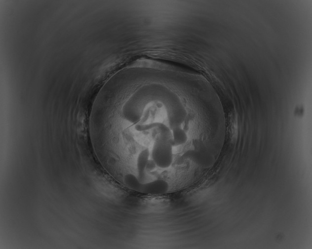 X0000091640619200708301400