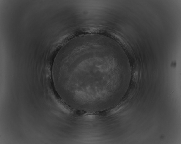 X0000091640620200708301400