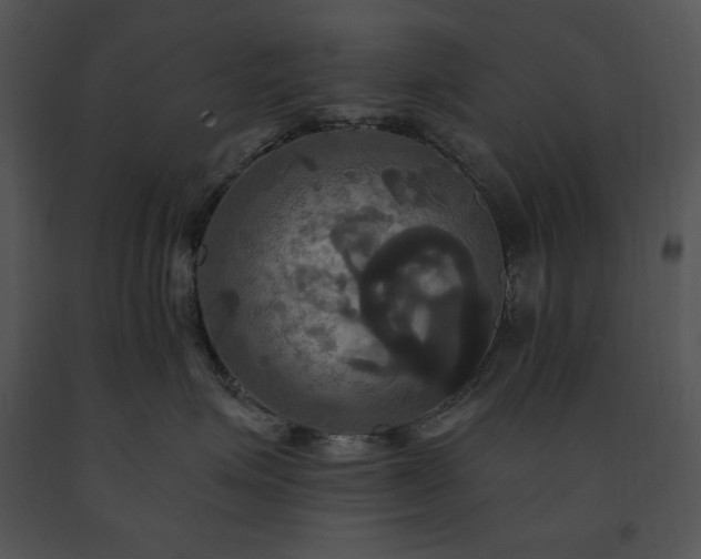 X0000091640623200708301400