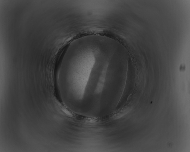 X0000091640624200708301400