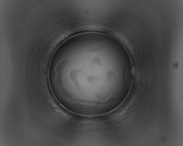 X0000091640625200708301359