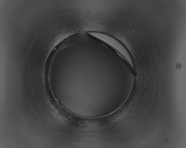 X0000091640626200708301359