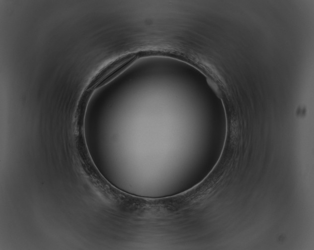 X0000091640628200708301359