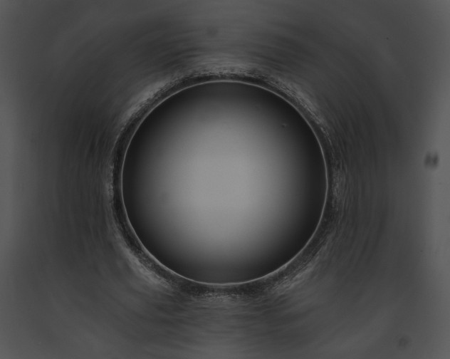 X0000091640629200708301359