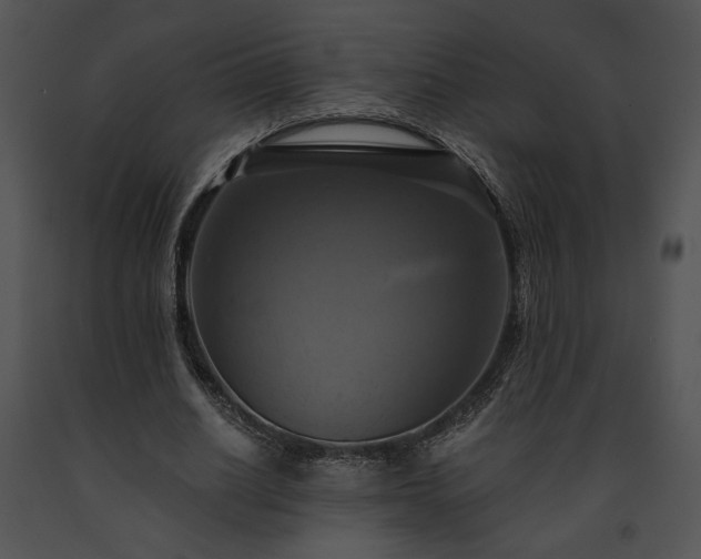X0000091640630200708301359