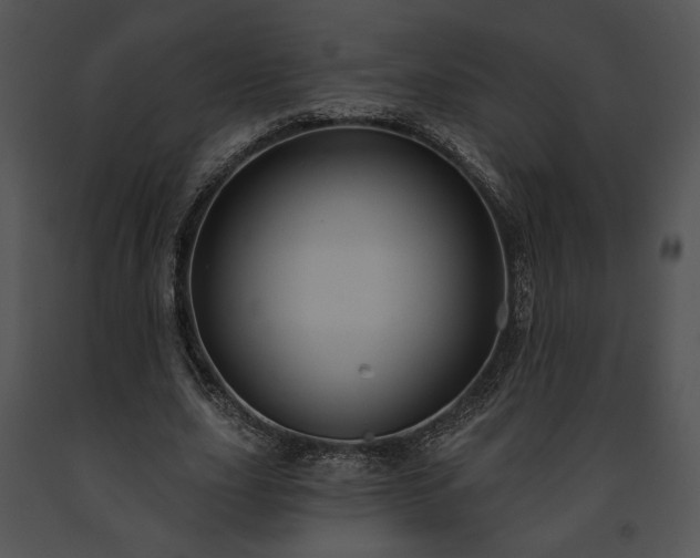 X0000091640631200708301359