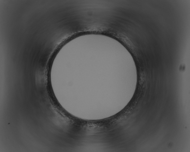 X0000091640632200708301359