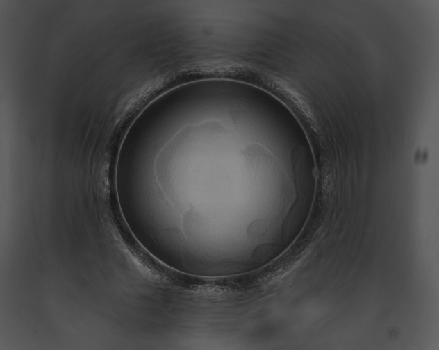 X0000091640633200708301359